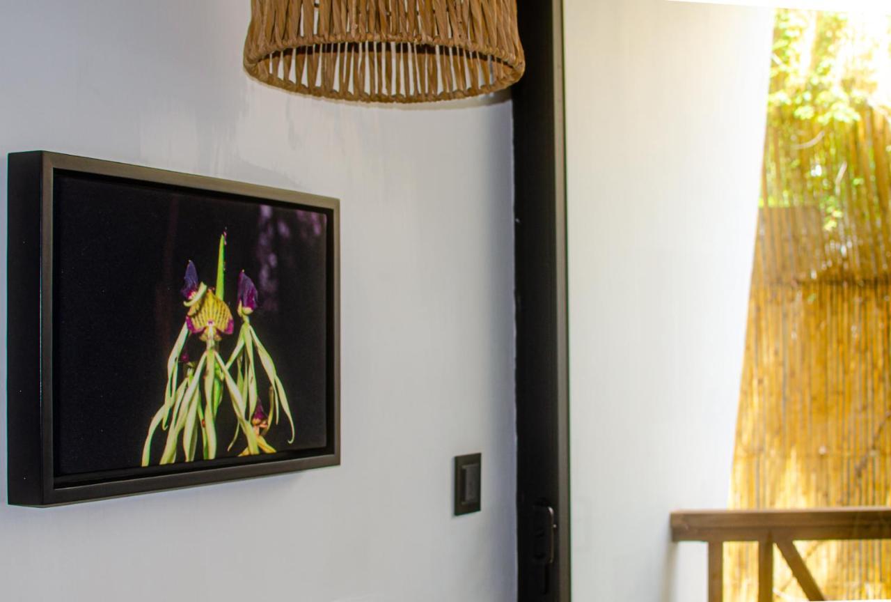 Ximena Hotel Boutique Sayulita Eksteriør billede